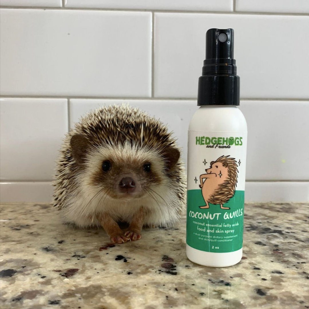 Coconut Quills Coconut Oil Supplement for Hedgehogs Etsy
