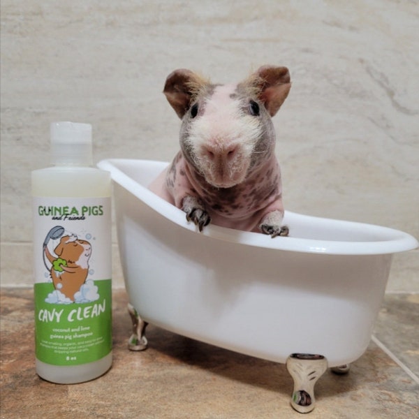 Cavy Clean - Coconut Lime Scented Guinea Pig Shampoo - 8oz