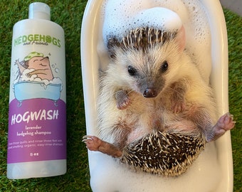 Hogwash - Lavender Scented Hedgehog Shampoo - 8oz