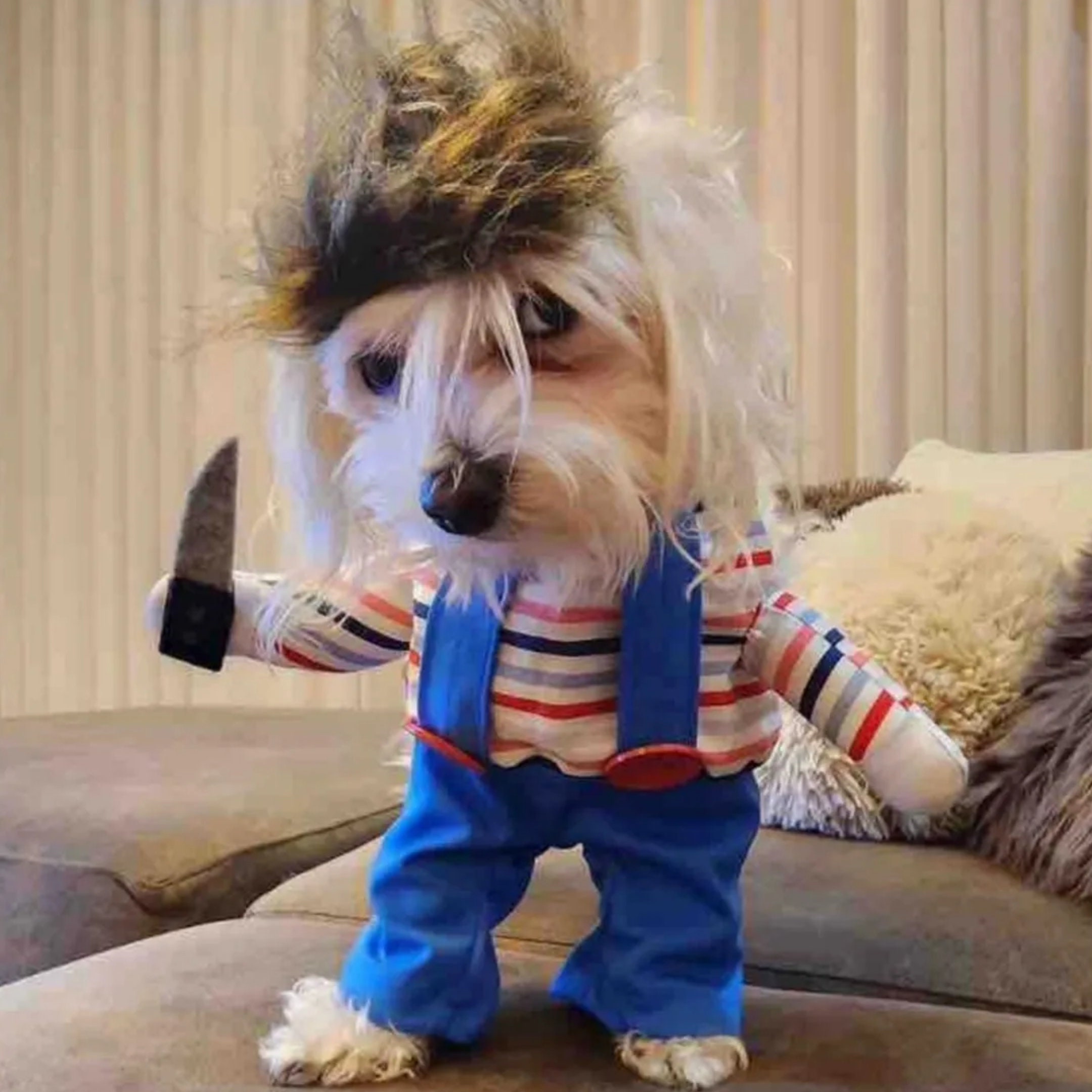 Chucky Cat and Dog Costume for Halloween Fun Spooky yet Cute Costume(01)