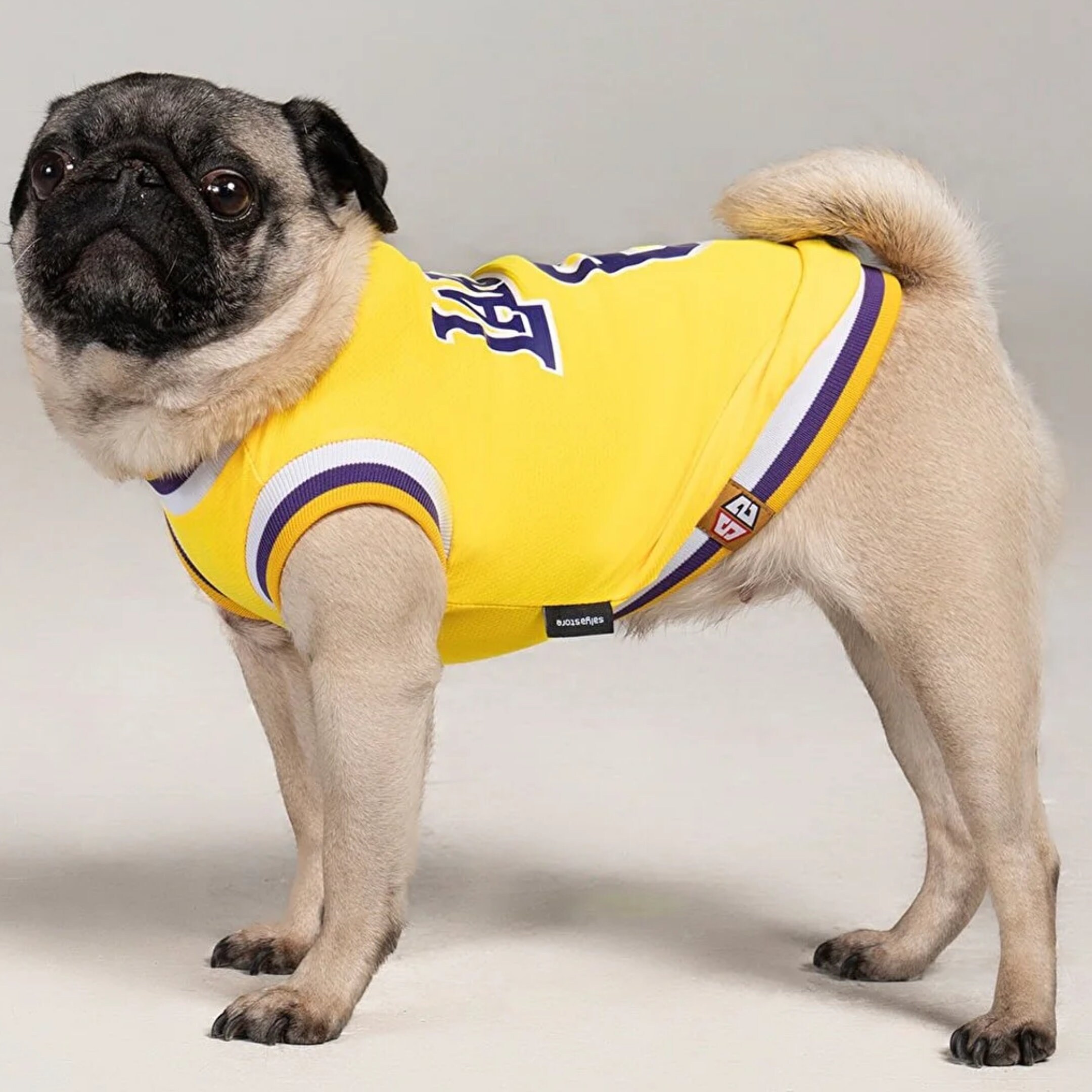 Los Angeles Lakers Dog Jersey, Dog Collar and Leashes