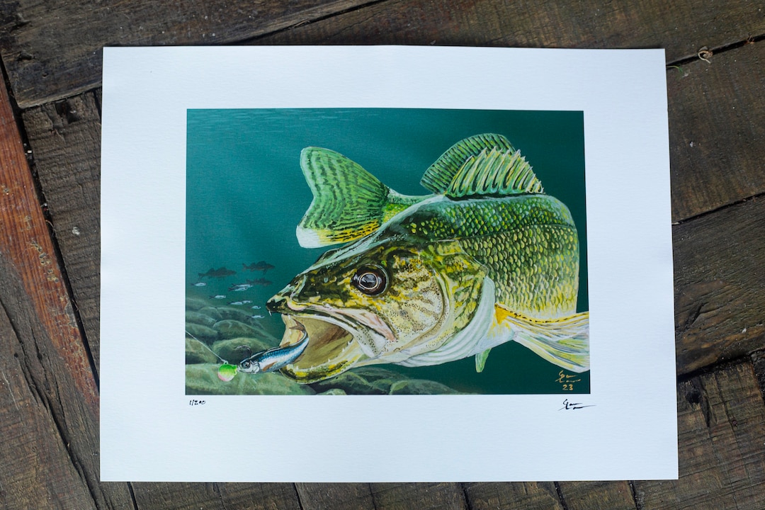 2024 MN Walleye Stamp Etsy