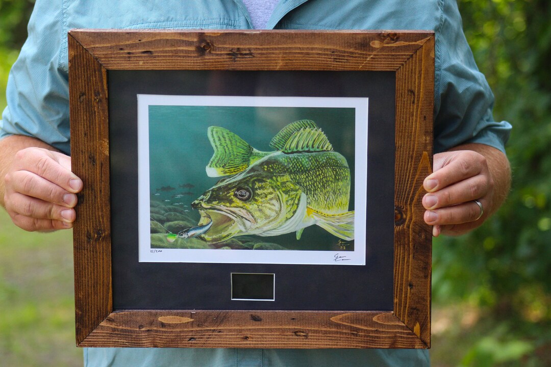 Sportsman's Edition Framed 2024 Walleye Stamp Stamp Etsy