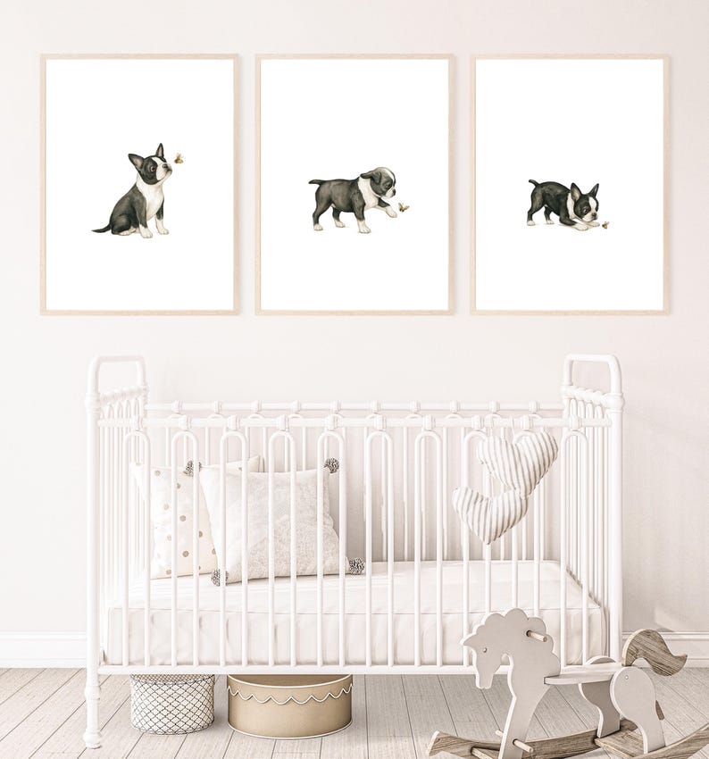 May include: Three framed watercolor prints featuring Boston Terrier puppies. Each print shows a different puppy interacting with a small insect. The puppies are black and white, set against a white background. The frames are a light wood color.
