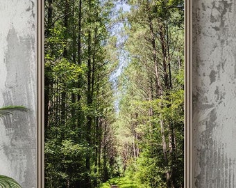 Forest Trail 1 Nature Photography - Fine Art imprimable - TÉLÉCHARGEMENT NUMÉRIQUE