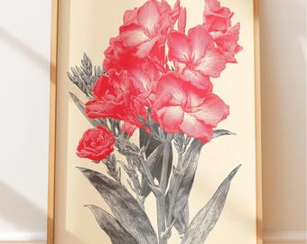Botanische Wandkunst: Pink Nerium Oleander - Viktorianischer Garten