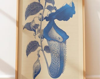 Vintage Kannenpflanze Gravur, Dark Academia Botanische Illustration, Fleischfressende Pflanzenwandkunst