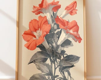 Viktorianischer Botanischer Druck, Blume bei vier Uhr, Koralle und Grau (verschiedene Größen)