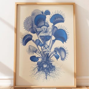 May include: A framed botanical print featuring a detailed blue illustration of a Venus flytrap plant with its roots exposed. The artwork is set against a light beige background and enclosed in a simple, light-colored wooden frame.