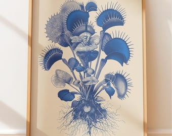 Venusfliegenfalle Botanische Gravur: Vintage Naturgeschichte Kunst (Moody Blue)