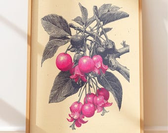 Atropa Belladonna Gravur, Dark Academia Botanische Wandkunst