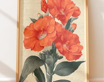 Dark Academia Botanische, Vintage vier Uhr Blumengravur Wandkunst