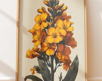 Dark Academia Botanische, Abendkerzen-Gravur, Vintage Kräuterkundler-Wand-Kunst