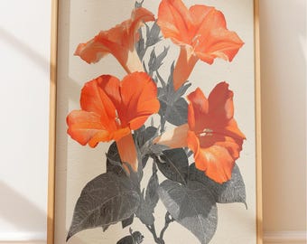 Orange Mondblumen-Ranke, Vintage botanische Gravur, Holzschnitt-Blumen-Illustration