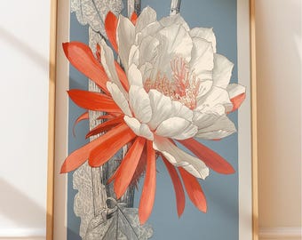 Königin der Nacht Kaktus: Vintage Botanische Kunst (Victorian Gravur)