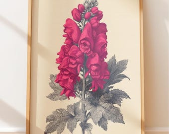 Dark Academia Monkshood botanische Gravur, viktorianische giftige Pflanze Illustration, Kabinett der Raritäten Wandkunst