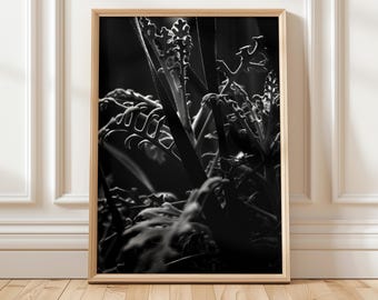 Moody Botanical Photo Print | High-Contrast Plant Art (Digital Download)