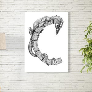 Letra del título «С» y Dragón. Alfabeto con dragones. Dragones y letras de piedra. Dragones y criaturas míticas, fantásticas y demoníacas.