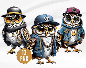 Hip Hop Owl, Owl with Glasses, Cool Birds PNG, Funny Owl, Birds Clipart PNG, Owl Sublimation, Funny Bird PNG, Urban Owl, Cartoon Owl