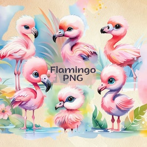 Flamingo Aquarela Clipart, Flamingo PNG, Flamingo Clipart, Cute Flamingo PNG, Summer Clipart, Flamingo Pattern, Tropical Clipart, Tropical