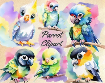 Cute Parrot Clipart, Parrot PNG, Parrot Clip Art, Parrot Watercolor, Exotic Birds Clipart, Jungle PNG, Baby Parrot Clipart Bundle