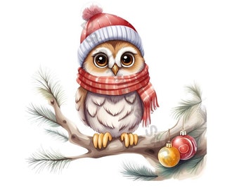 Christmas Owl PNG, Cute Xmas Owl PNG, Winter Owl Clipart, Owl in Hat, Christmas Woodland Animals, Little Owl Art, Little Owl Art, Baby Owl