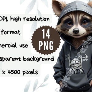 Hip Hop Raccoon, Cartoon Raccoon, Funny Raccoon PNG, Raccoon With Hat ...