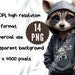 Hip Hop Raccoon, Cartoon Raccoon, Funny Raccoon PNG, Raccoon With Hat ...