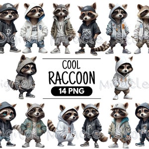 Hip Hop Raccoon, Cartoon Raccoon, Funny Raccoon PNG, Raccoon With Hat ...