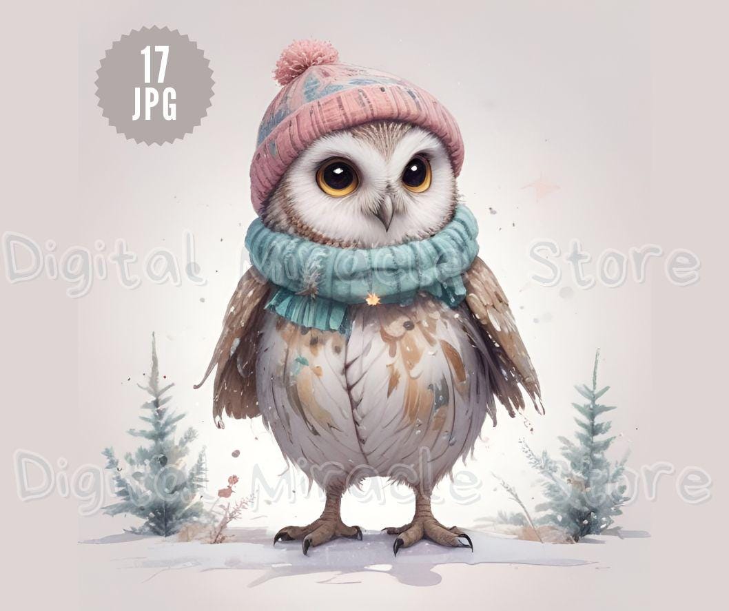 Christmas Owl, Cute Xmas Owl, Winter Owl Clipart, Owl in Hat, Christmas Woodland Animals, Little Owl