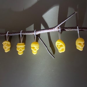 Halloween Skull Set, Pure Beeswax Ornaments (set of 5)