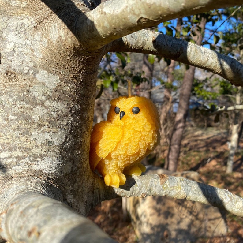 Large Owl Candle Natural Beeswax Candle Unscented Decorative Animal