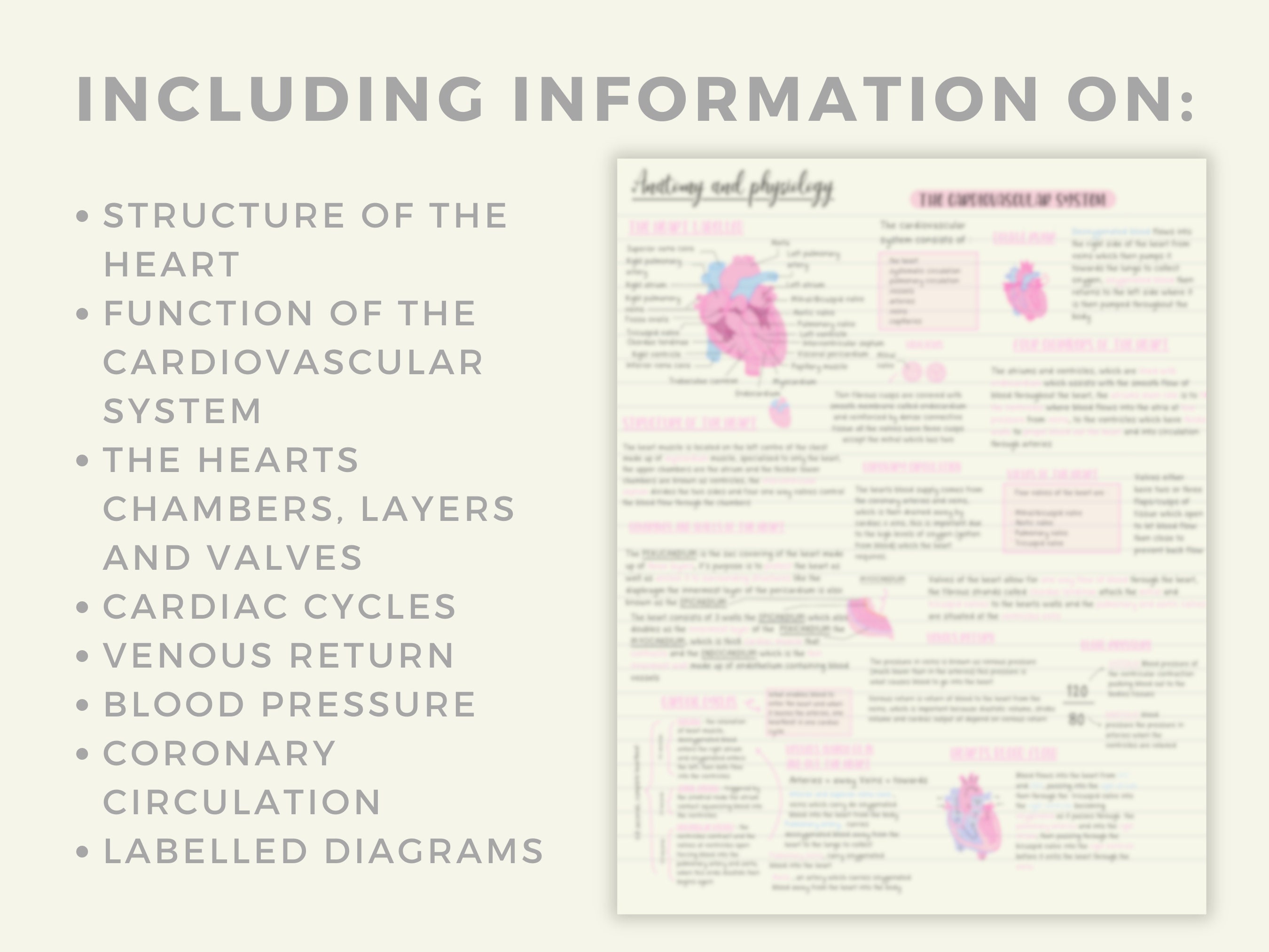 Unlock Your Heart'S Secrets: An Artful Cardiovascular System Guide - par5io7