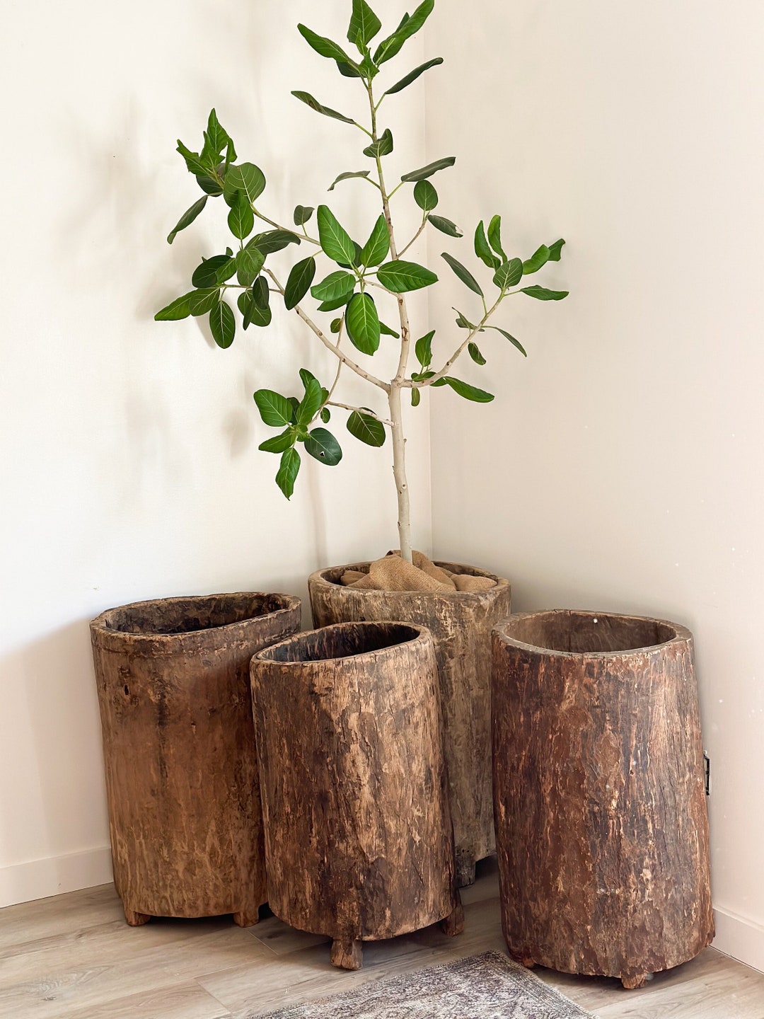 希少 large wooden pot il_1080xN.5486094499_63js.jpg