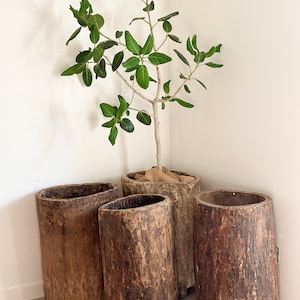 Antique nagaland wooden bin/planter