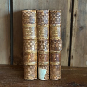 Antique leather bound book collection (Russel’s Modern Europe)