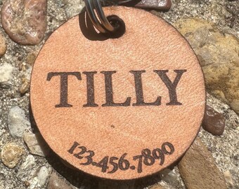 Op de afbeelding: Een bruin leren hondenpenning met de naam "TILLY" en het telefoonnummer "123-456-7890" erop gegraveerd. De penning is bevestigd aan een zilveren splitring.