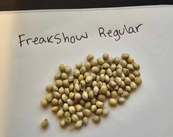 Freakshow Regular seeds Unique Hemp souvenirs