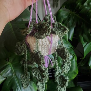 Crochet Hanging Plants