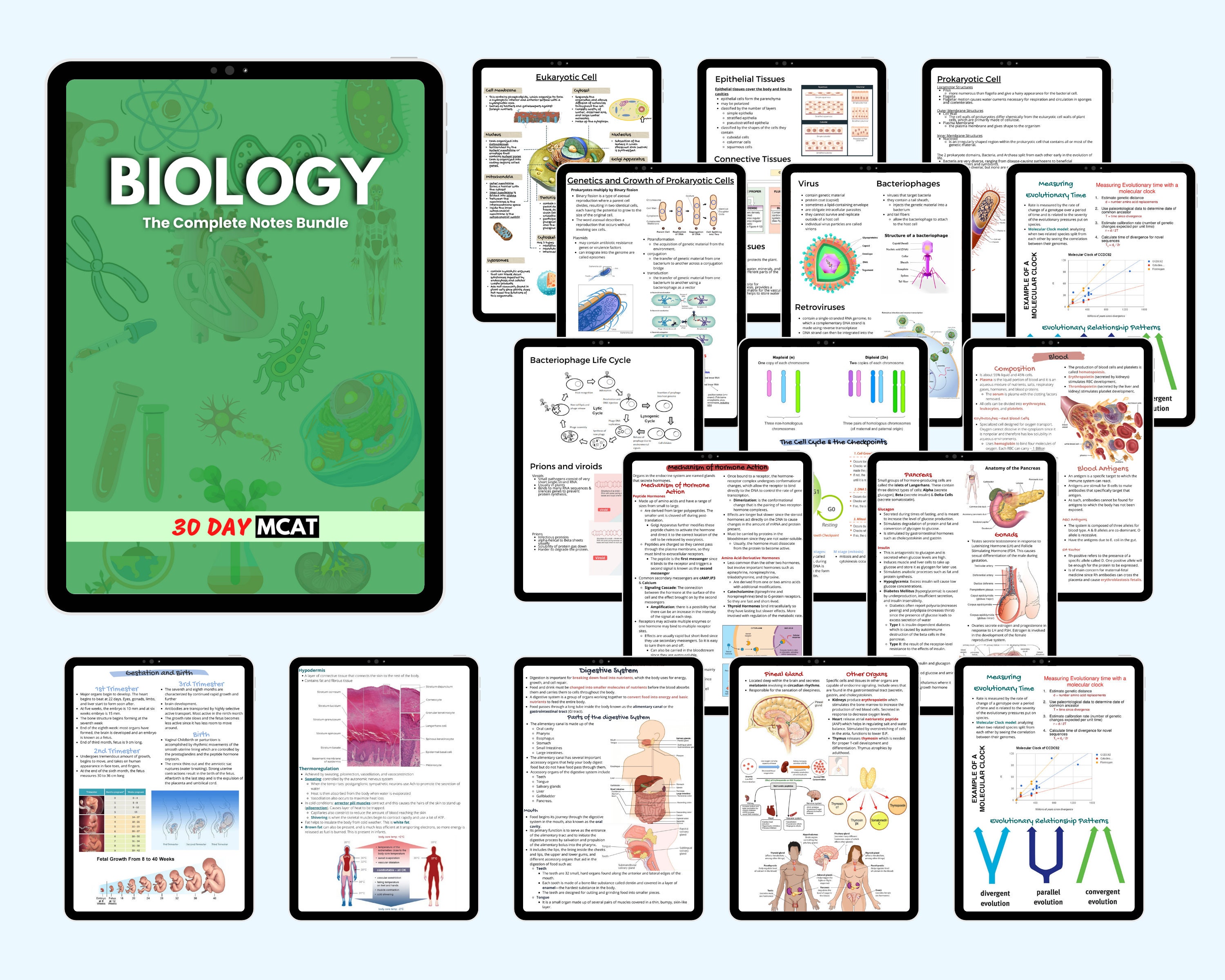 MCAT Biology Study Notes Bundle With Question and Answers! - Etsy