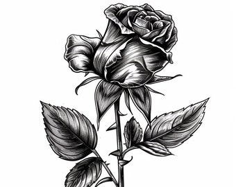 Black Rose Tattoo Design Download High Resolution Digital Art PNG ...