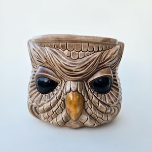 May include: A ceramic mug shaped like an owl head with a glossy brown finish. The owl features large, dark, reflective eyes, a prominent golden-brown beak, and detailed, textured feather patterns carved into the surface of the brown clay.