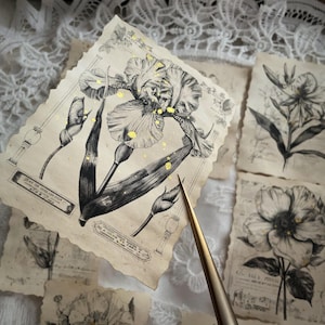 May include: A vintage botanical illustration of a black and white iris with gold accents on a textured paper background. The image has a distressed, aged look.