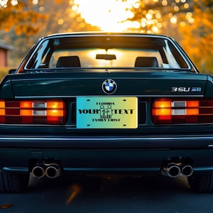 Personalized Family Car License Plate: Custom Aluminum Car Tag