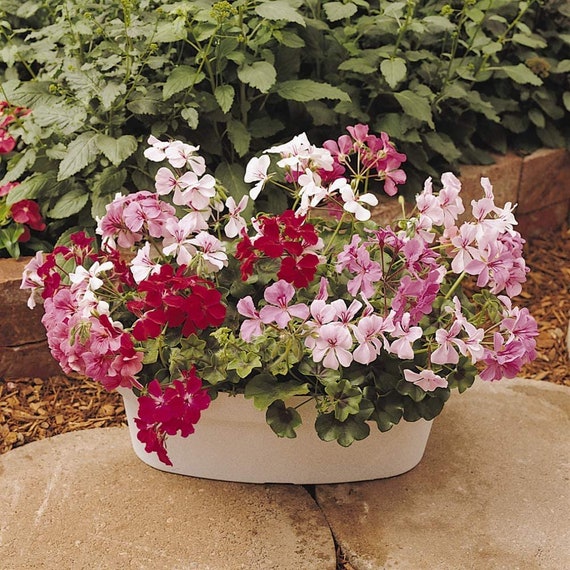 plastic planter pots large Outsunny 28" Tall Outdoor Planters, Set Of 3 Large Taper Planters With