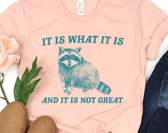 Raccoon Meme Sweatshirt, Funny Mental Health Tee