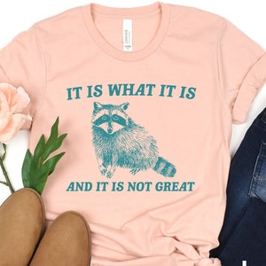 Es lo que es y no es una gran sudadera, camisas que van duro, camisa de meme mapache, camiseta de panda de basura, salud mental, camiseta mujeres