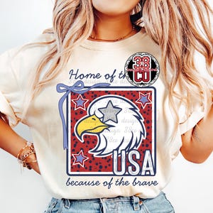 Orzeł png, USA png, wolność png, odważny png, Dzień Niepodległości, modna kokarda png, kokietka USA, 4 lipca png, patriotyczny, gwiezdne oczy png zdjęcie 5