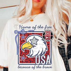 Orzeł png, USA png, wolność png, odważny png, Dzień Niepodległości, modna kokarda png, kokietka USA, 4 lipca png, patriotyczny, gwiezdne oczy png zdjęcie 1