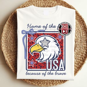 Orzeł png, USA png, wolność png, odważny png, Dzień Niepodległości, modna kokarda png, kokietka USA, 4 lipca png, patriotyczny, gwiezdne oczy png zdjęcie 8